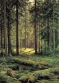 coniferous forest sunny day 1895 classical landscape Ivan Ivanovich trees